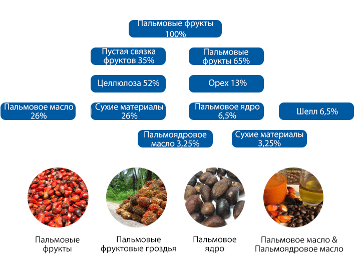 Оборудование для переработки пальмового масла